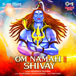 Om Namah Shivay