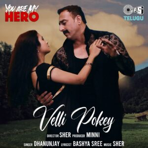 Velli Pokey
