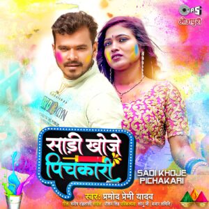 Sadi Khoje Pichakari